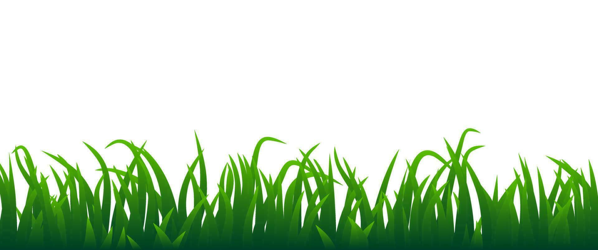 verde erba vettore su bianca sfondo