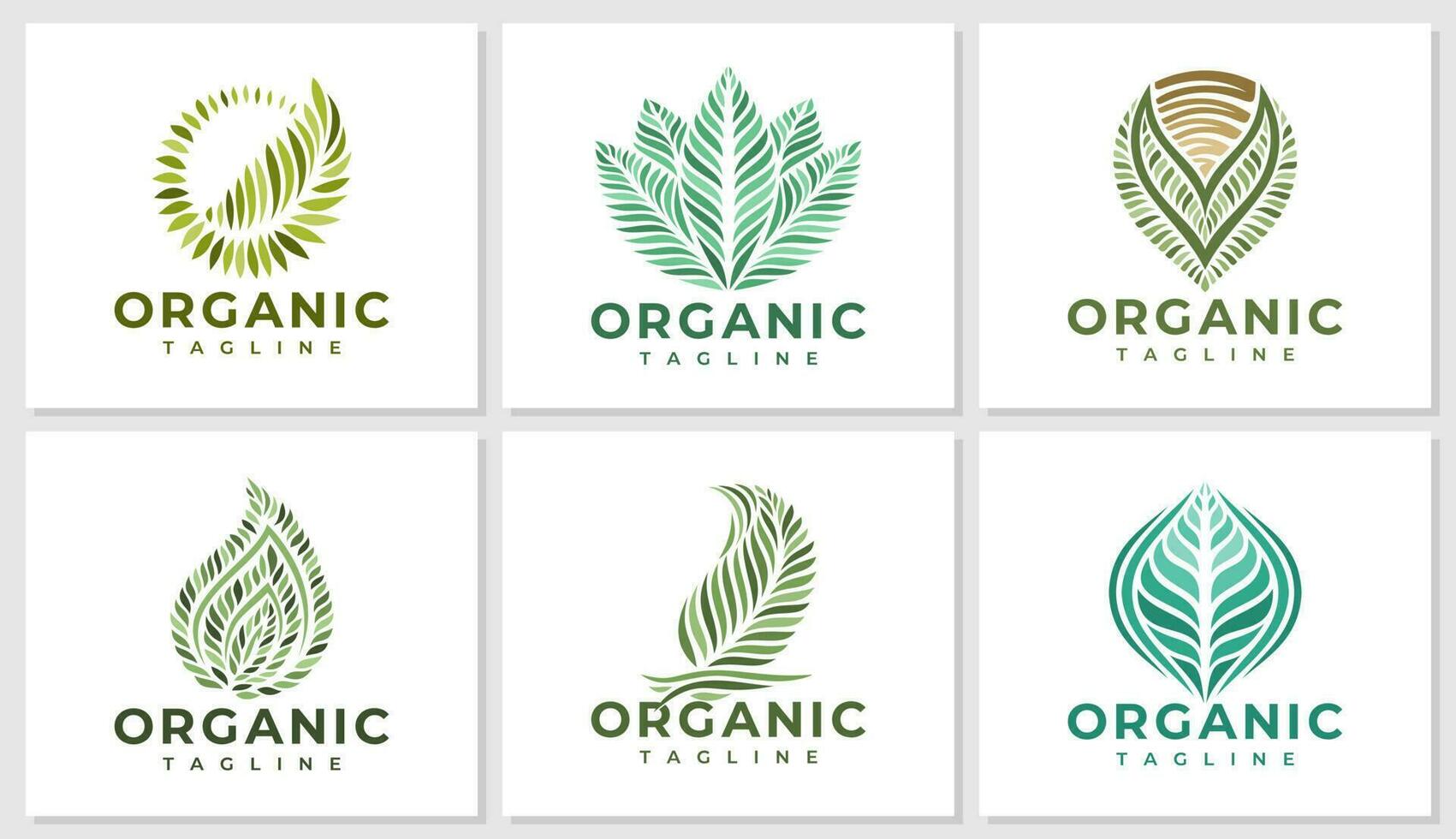 lusso biologico vegano foglia logo design impostare. elegante naturale pianta foglia logo. vettore