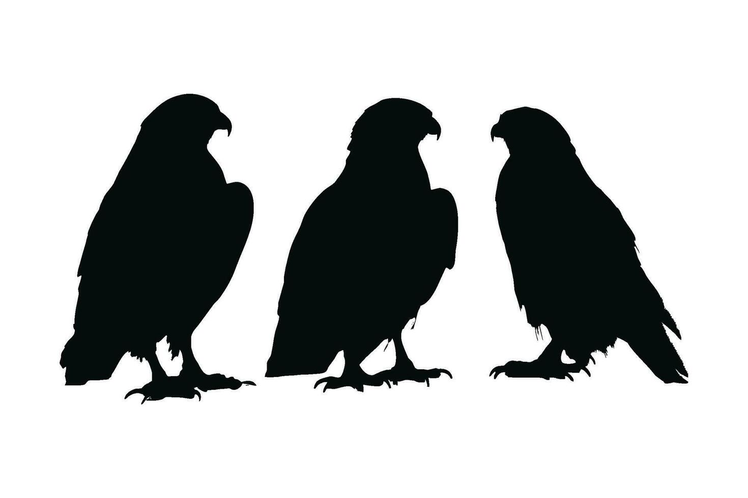falco in piedi nel diverso posizioni, silhouette impostato vettore. adulto falco silhouette collezione su un' bianca sfondo. carnivoro uccelli piace Aquile, falchi, e falchi pieno corpo silhouette fascio. vettore