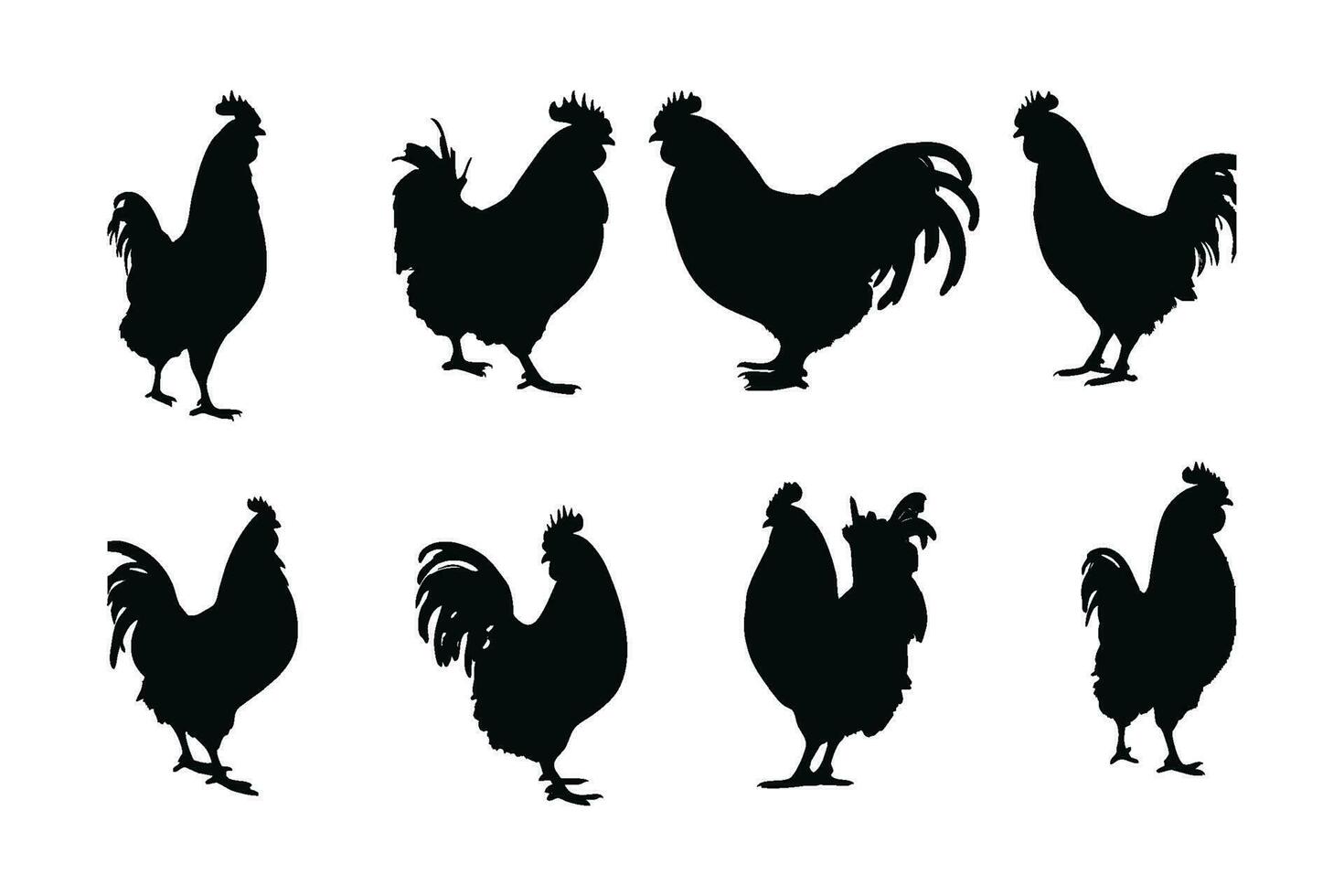 galli in piedi nel diverso posizioni, silhouette impostato vettore. grande Gallo silhouette collezione su un' bianca sfondo. carino domestico animali piace torrefattori o pollame, pieno corpo silhouette gruppi. vettore