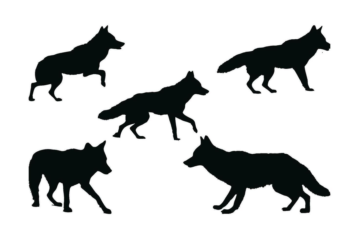 selvaggio coyote lupo su un' bianca sfondo silhouette impostato vettore. carnivoro coyote a piedi nel diverso posizioni silhouette fascio. anonimo nero lupo silhouette. buio coyote a piedi vettore design.