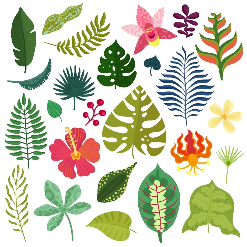elementi di piante tropicali impostare illustrazione vettoriale