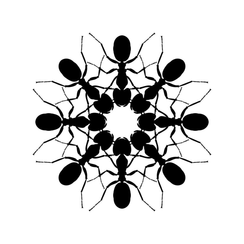 colonia di il formica silhouette cerchio forma composizione per arte illustrazione, logo, pittogramma, sito web, o grafico design elemento. vettore illustrazione