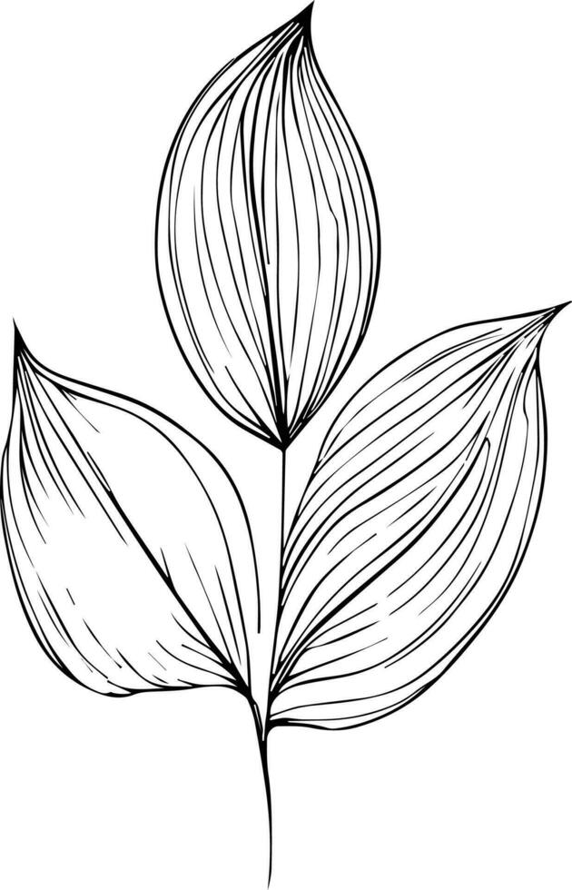botanico elementi vettore schizzo, mano disegnato foglia linea arte , botanico foglia germoglio illustrazione inciso inchiostro arte stile. botanico vettore disegno. Vintage ▾ botanico foglia disegno.
