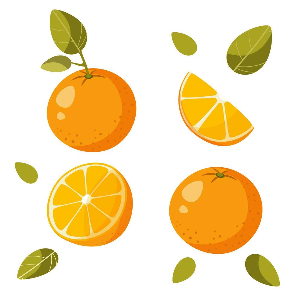 uno arancia su un' bianca sfondo con un' foglia, senza un' foglia, metà un arancia. vettore illustrazione. affettato arancia, trimestre di un arancia, arancia fette