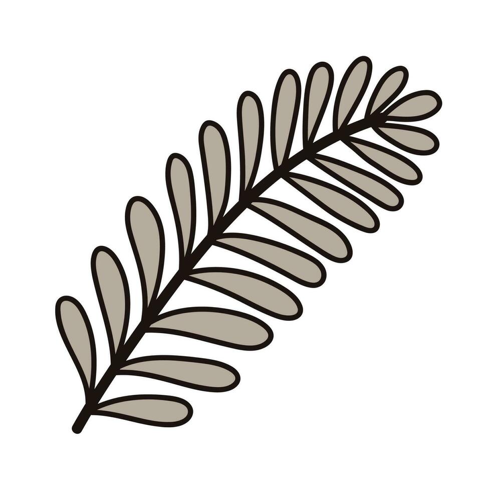 mano disegnato palma le foglie a partire dal il superiore Visualizza nel scarabocchio stile vettore