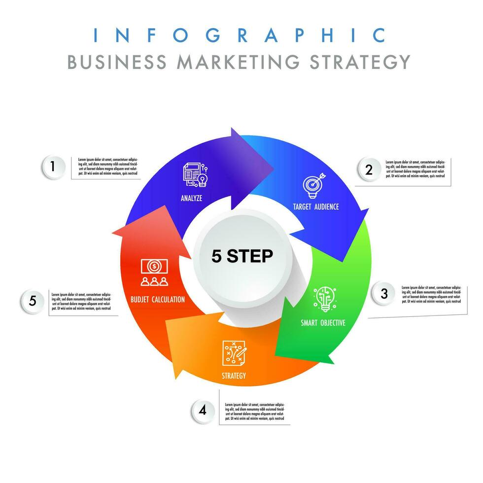 Infografica modello 5 passo per attività commerciale marketing strategia vettore