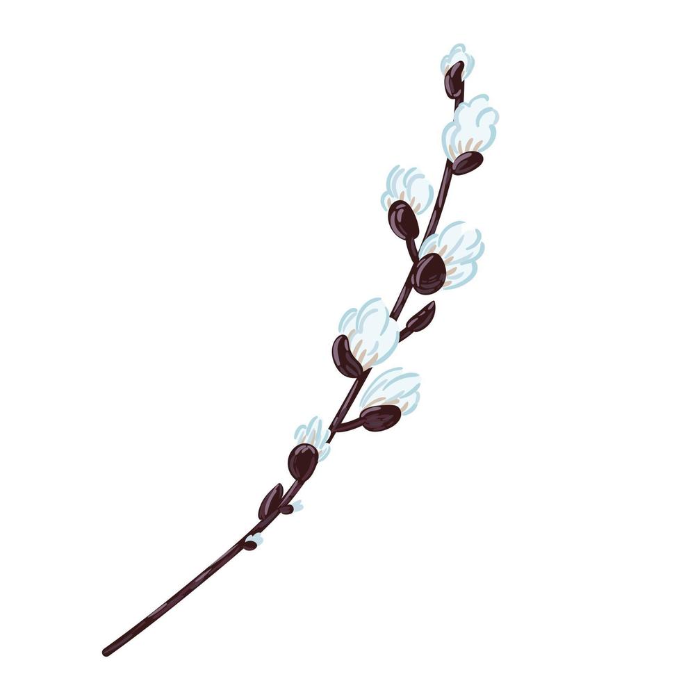 il ramoscello di salice primaverile fiorisce l'elemento di Pasqua disegnato a mano di vettore isolato su fondo bianco