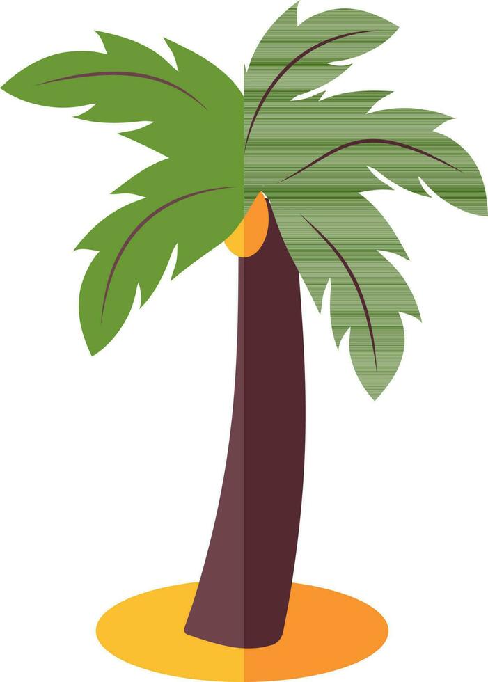 vettore illustrazione di Noce di cocco albero.