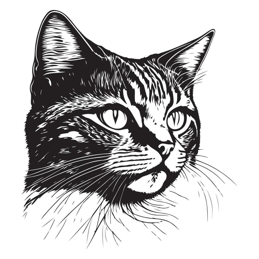 gatto viso logo, gatto viso vettore, gatto viso schizzo isolato su bianca sfondo vettore