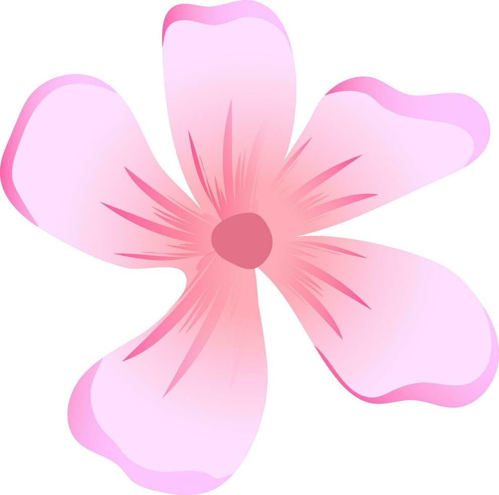 vettore illustrazione di rosa fiore su bianca sfondo.