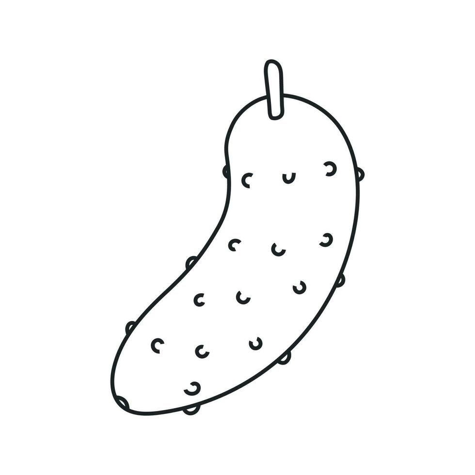 vettore illustrazione di cetriolo nel scarabocchio stile.