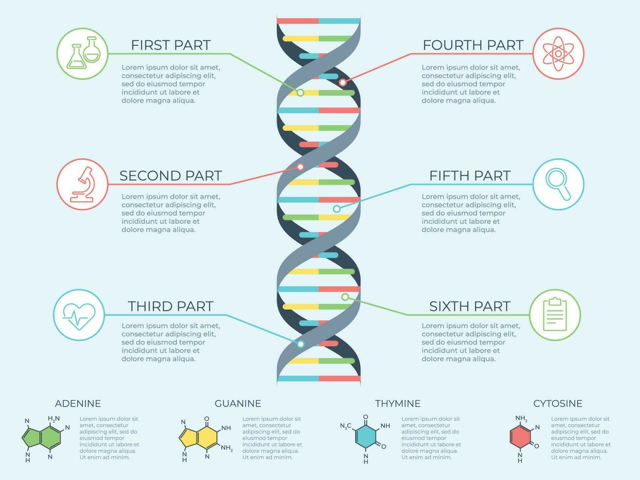 dna infografica. genetico spirale, genomico modello molecola diagramma e adn modello struttura grafico vettore concetto illustrazione