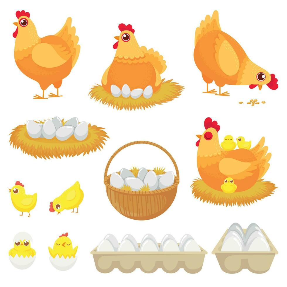 pollo uova. gallina azienda agricola uovo, nido e vassoio di polli uova cartone animato vettore illustrazione impostato