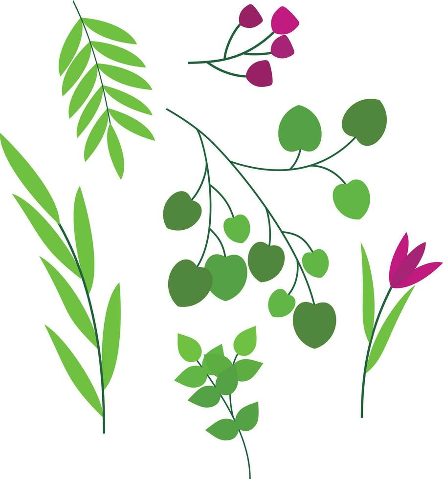 un' collezione di verde impianti e fiori impostato di ramoscelli con le foglie vettore
