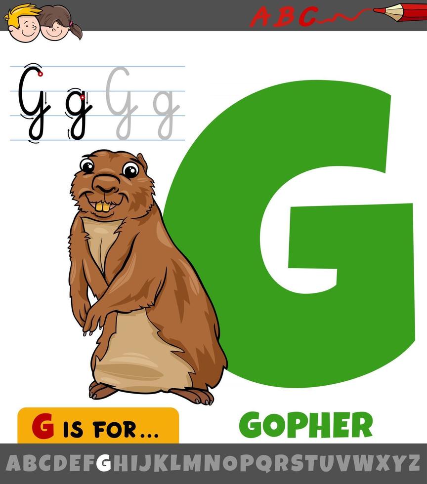 lettera g dall'alfabeto con personaggio animale gopher dei cartoni animati vettore