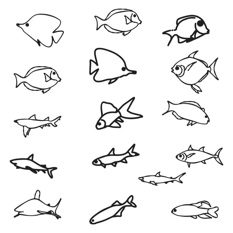 schema sagome disegnato di diverso specie di pesce vettore