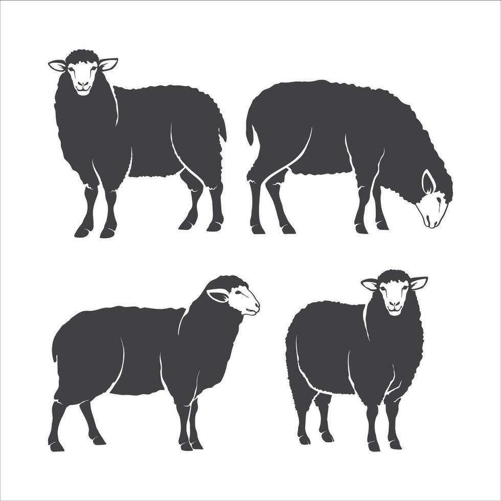pecora vettore icona impostare. agnello semplice simbolo impostare. pecora animale silhouette design pacchetto. agnello simbolo. vettore illustrazione.
