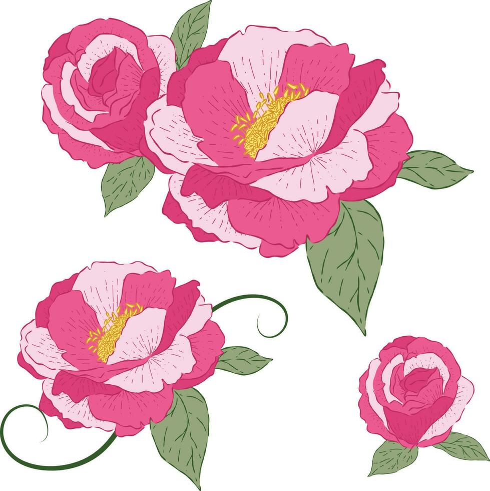 rosa rosa fiore con popolare arte vettore