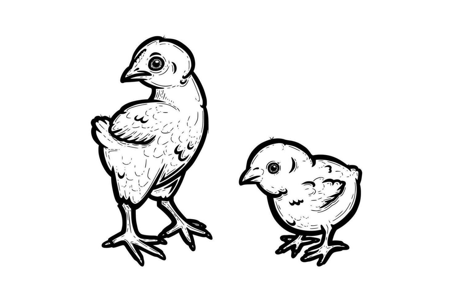 realistico bambino polli delineato nel bianca sfondo. gratuito pascolo pulcini nel il runch. vettore illustrazione