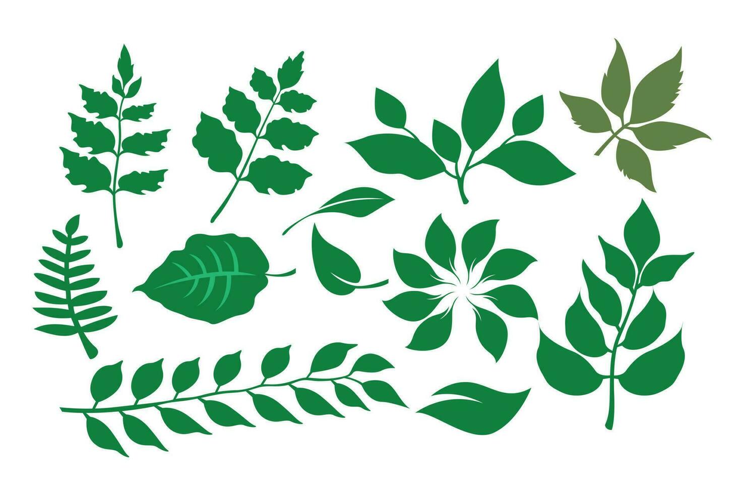 impostato di verde le foglie isolato su un' bianca sfondo. vettore illustrazione.