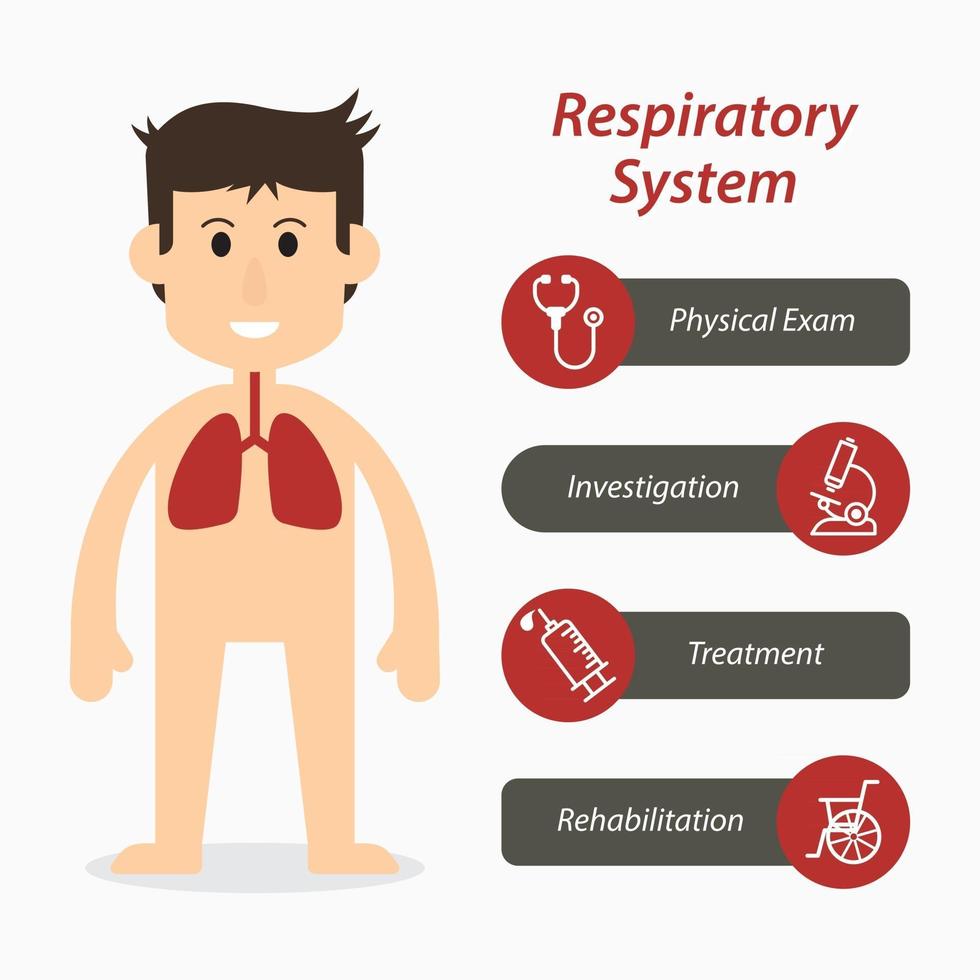 sistema respiratorio e icona linea medica vettore