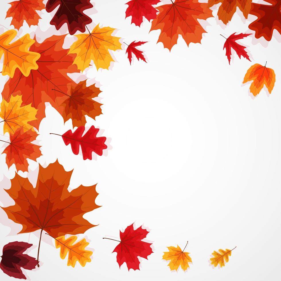fondo brillante dell'insegna delle foglie di autunno vettore