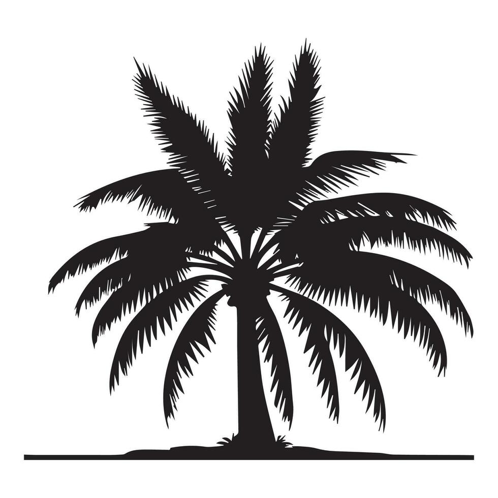 Questo è Noce di cocco albero vettore silhouette, palma albero vettore silhouette.