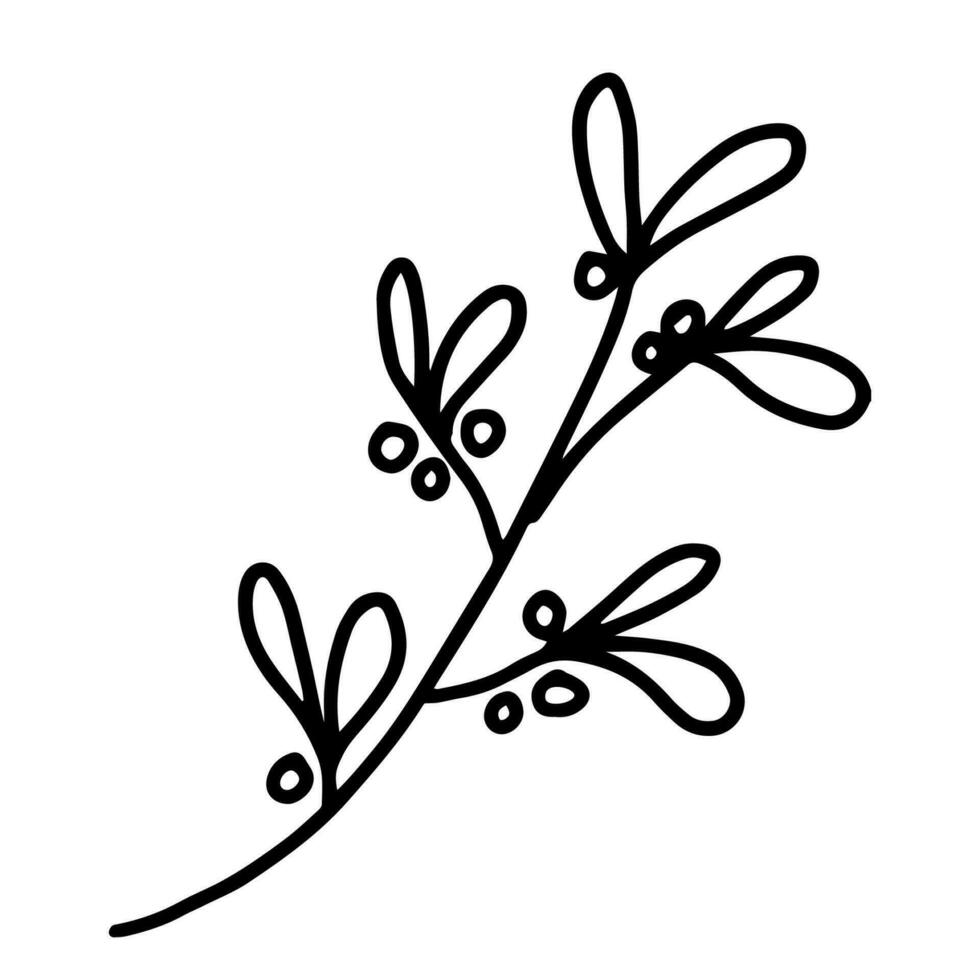 mano disegnato illustrazione di vischio. decorativo floreale elemento nel scarabocchio stile vettore