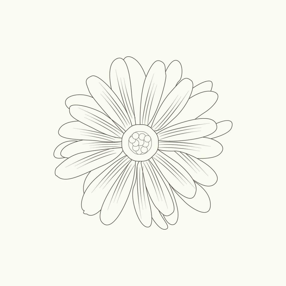 disegnato a mano semplice essenziale fiore schema illustrazione vettore