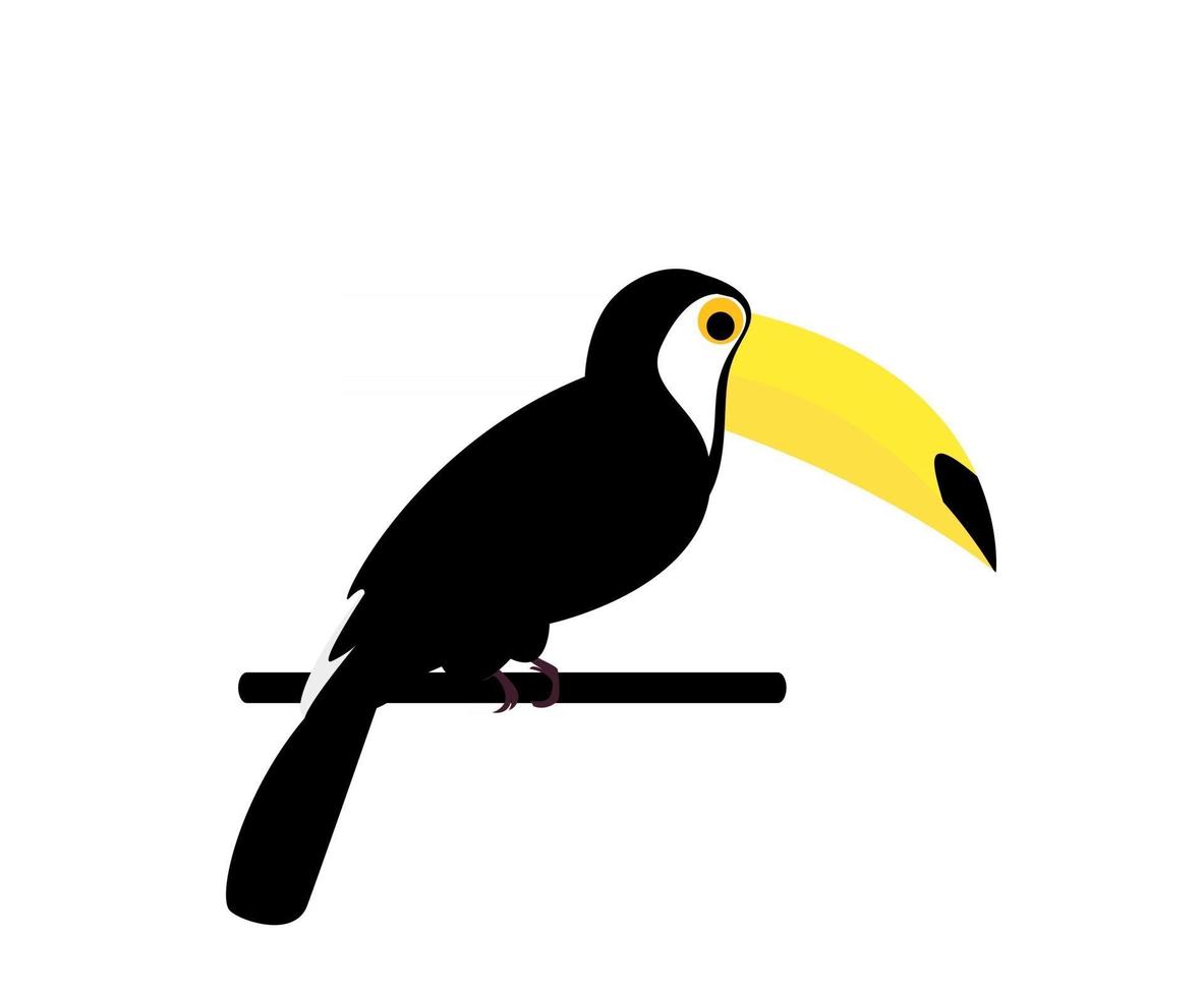 tucano uccello isolato su sfondo bianco vettore