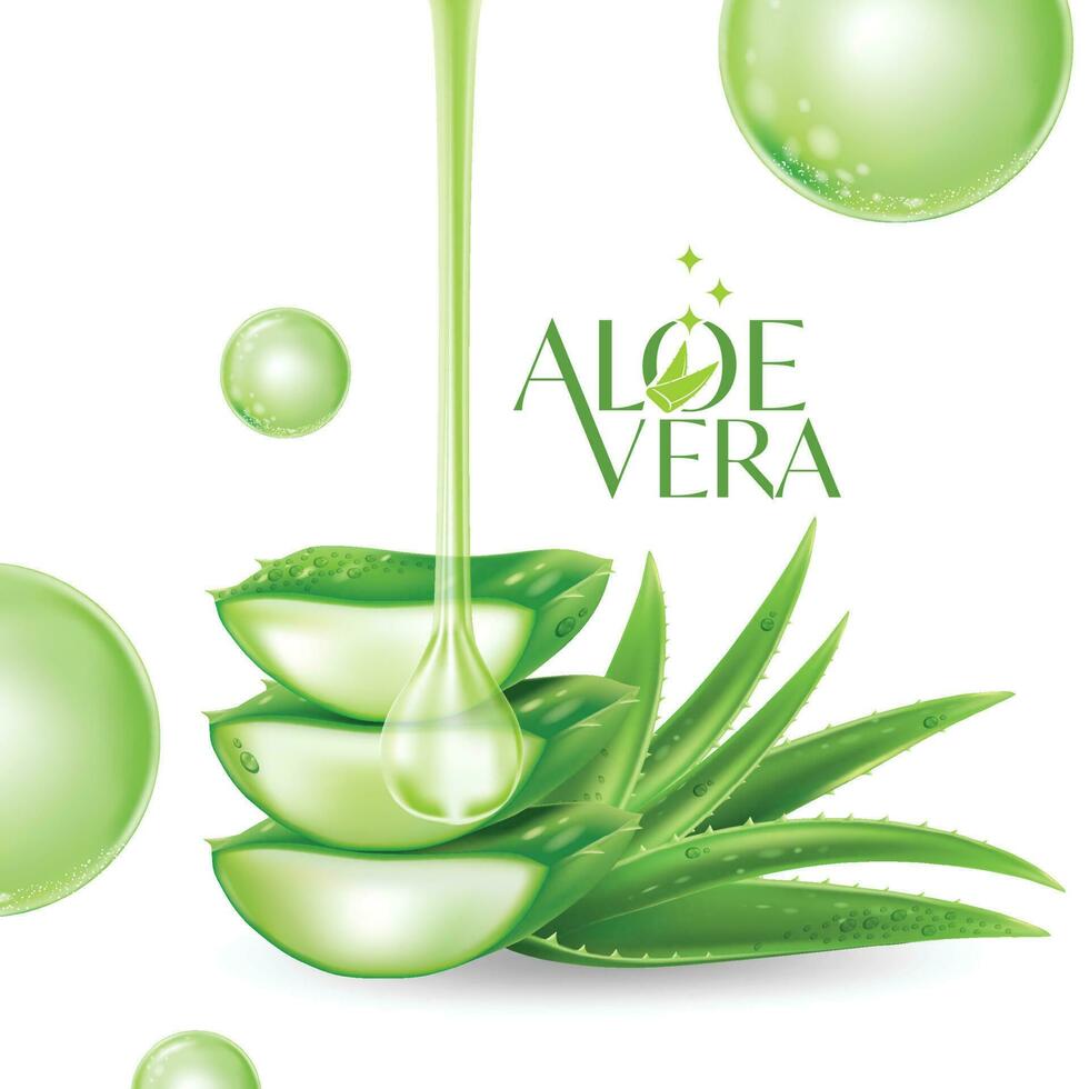 aloe Vera collagene siero pelle cura cosmetico. vettore