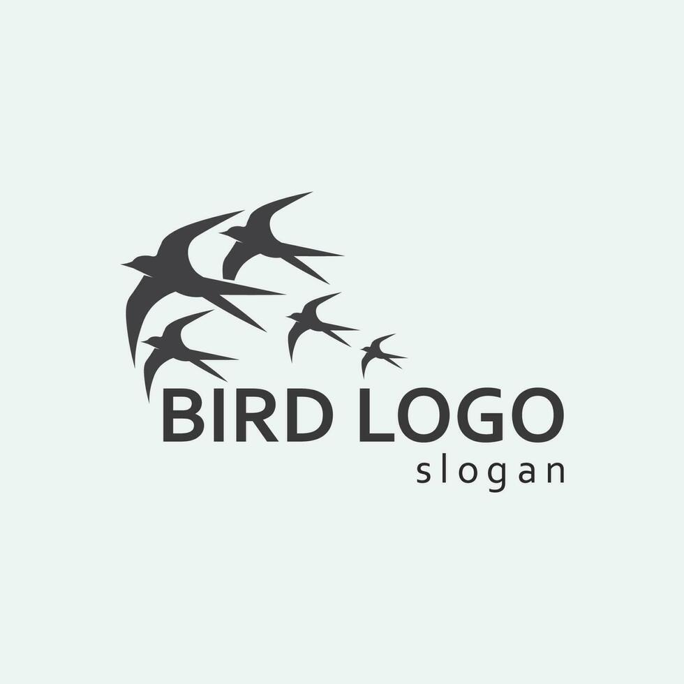 uccelli e rondine colomba logo design e vettore ali di animali e uccelli in volo