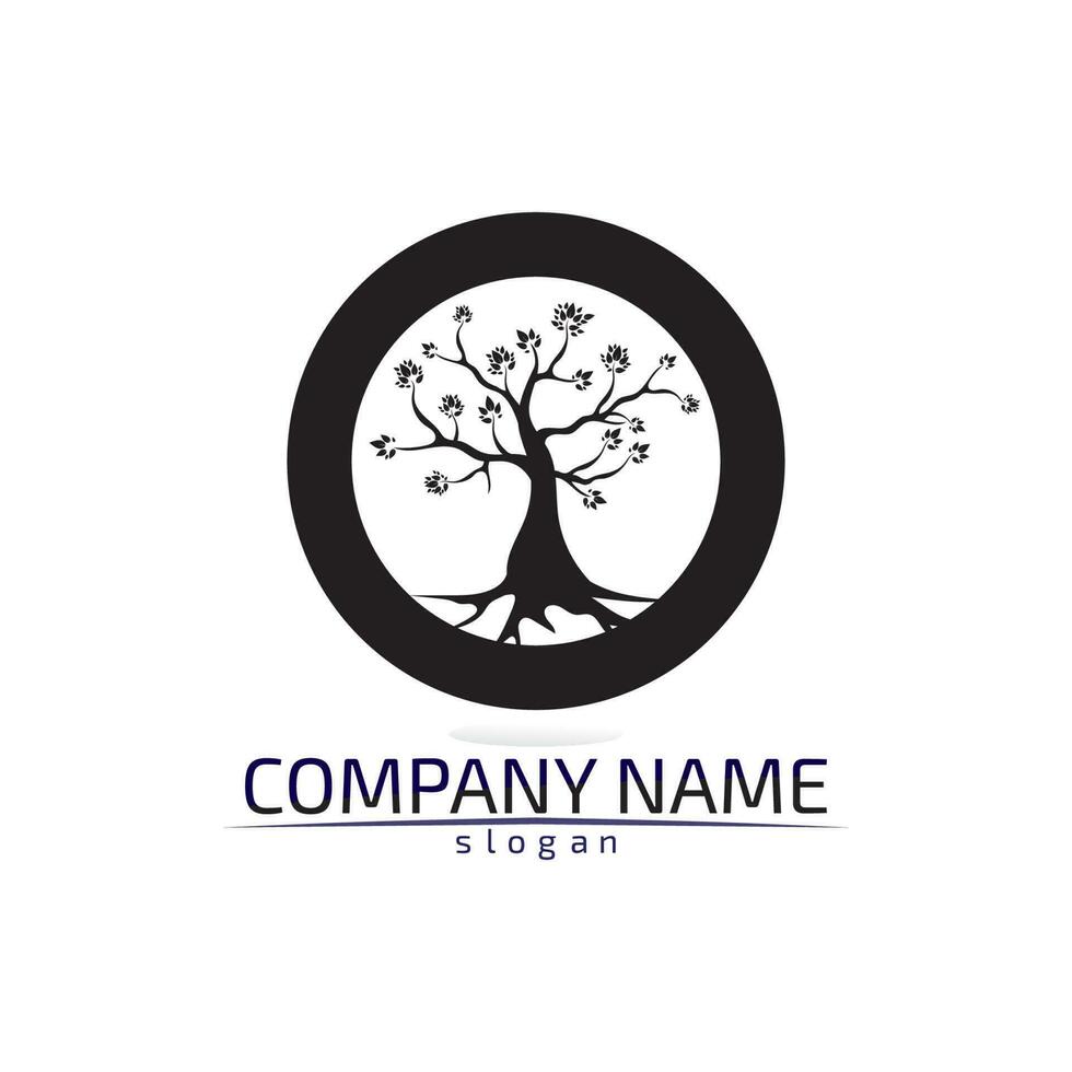 albero foglia disegno vettoriale eco friendly concept logo