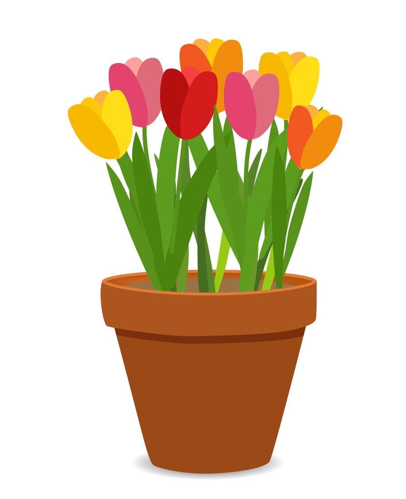fiori di tulipano primaverili in vaso di fiori vettore