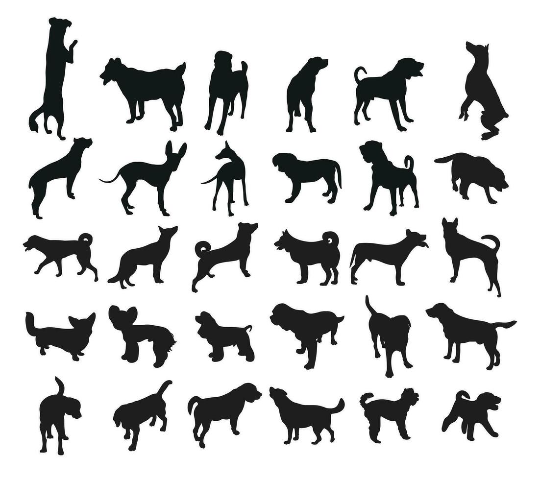 schizzo di nero sagome di cani nel pose. schema di animali domestici andare, in piedi, in esecuzione, saltare, addestramento, a passeggio, guardia, in posa, giocare a, mostrando vettore