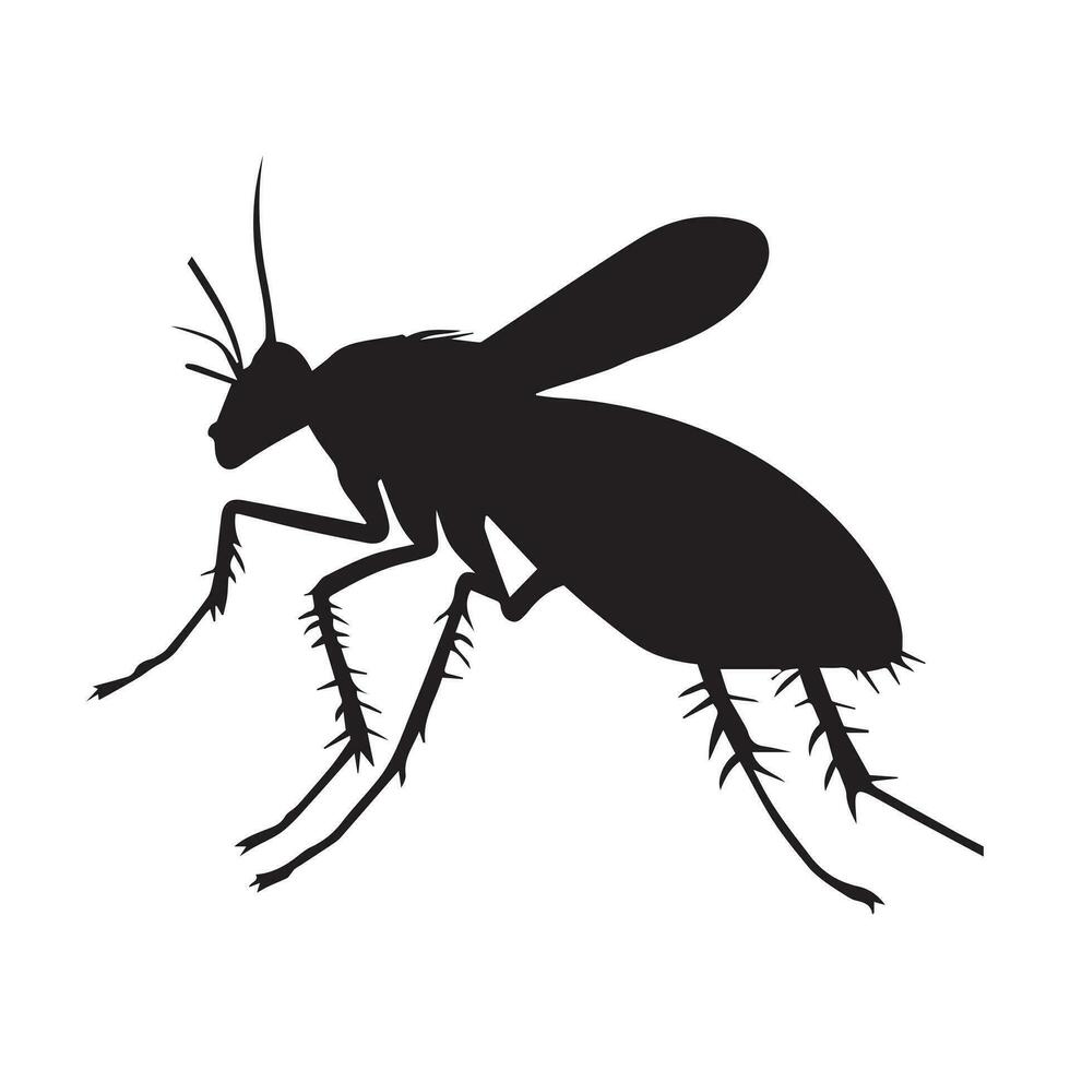 zanzara vettore silhouette illustrazione nero colore