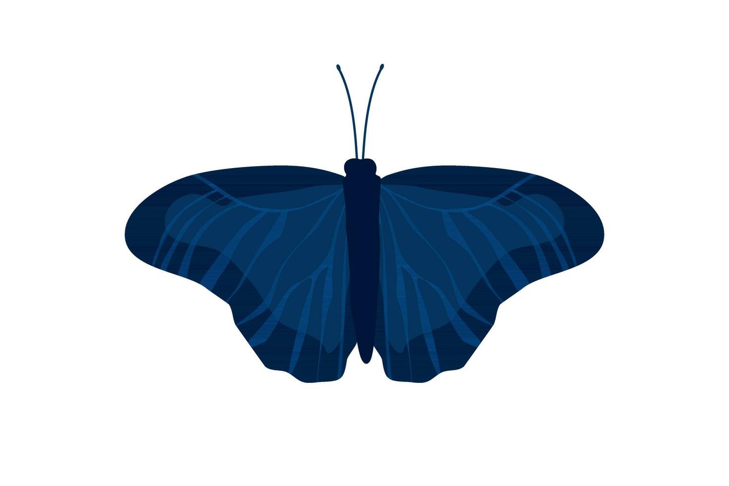 farfalla blu ala insetto illustrazione vettore