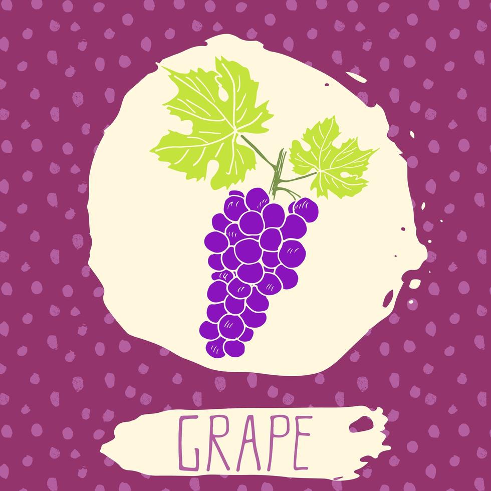 uva disegnata a mano frutta abbozzata con foglia su sfondo con motivo a punti. doodle vettore uva per logo, etichetta, identità del marchio