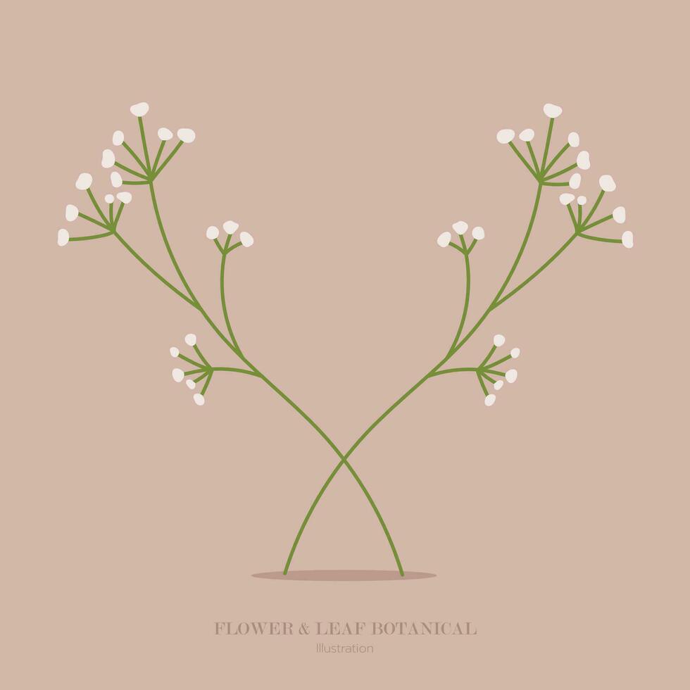 fiore e erba botanico illustrazione. vettore