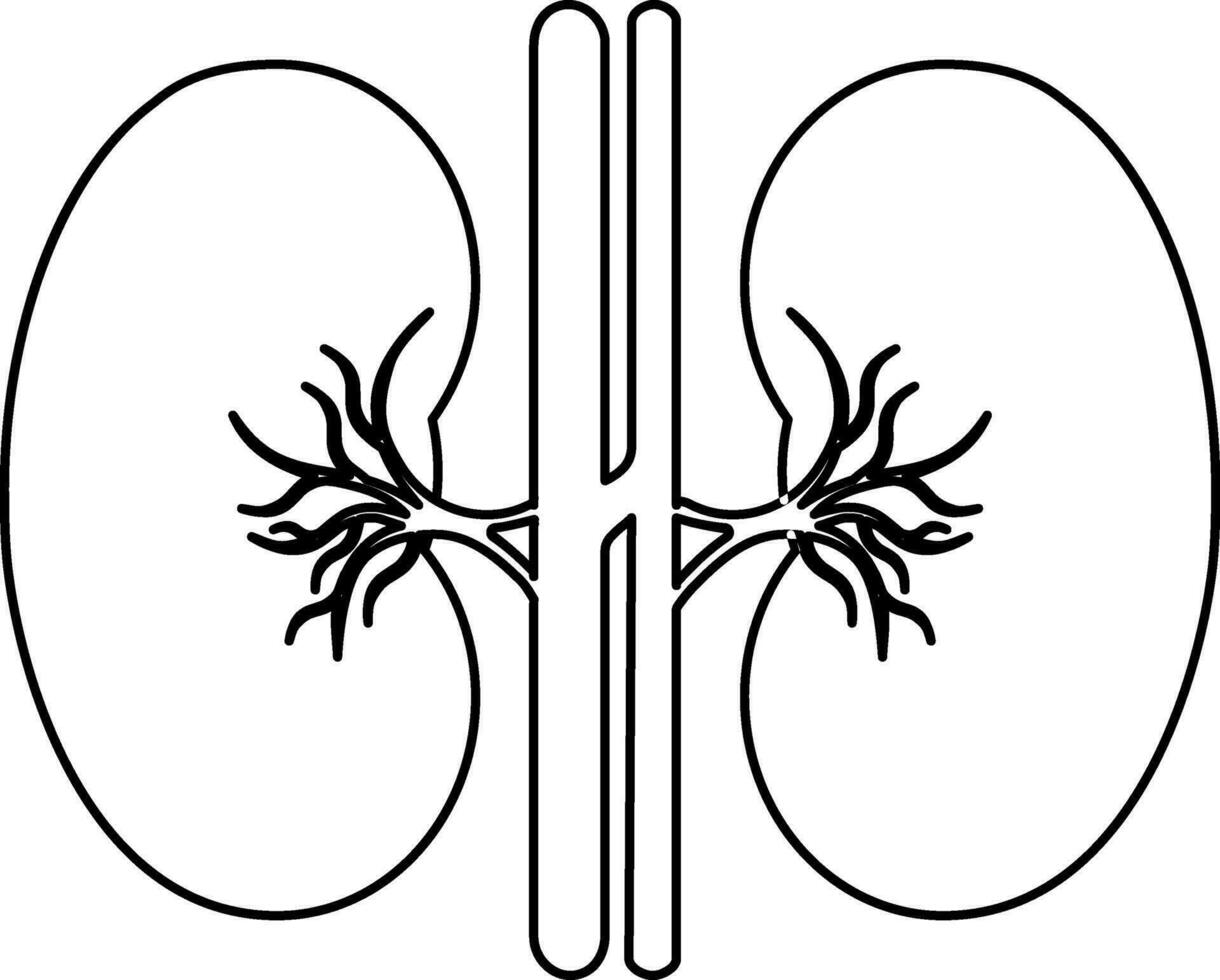 polmoni icona dentro umano corpo nel ictus stile. vettore