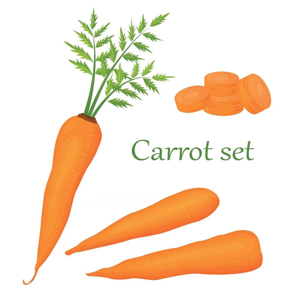 set di carote di cartone animato carota arancione isolato su uno sfondo bianco. icone vettoriali di ortaggi a radice fresca