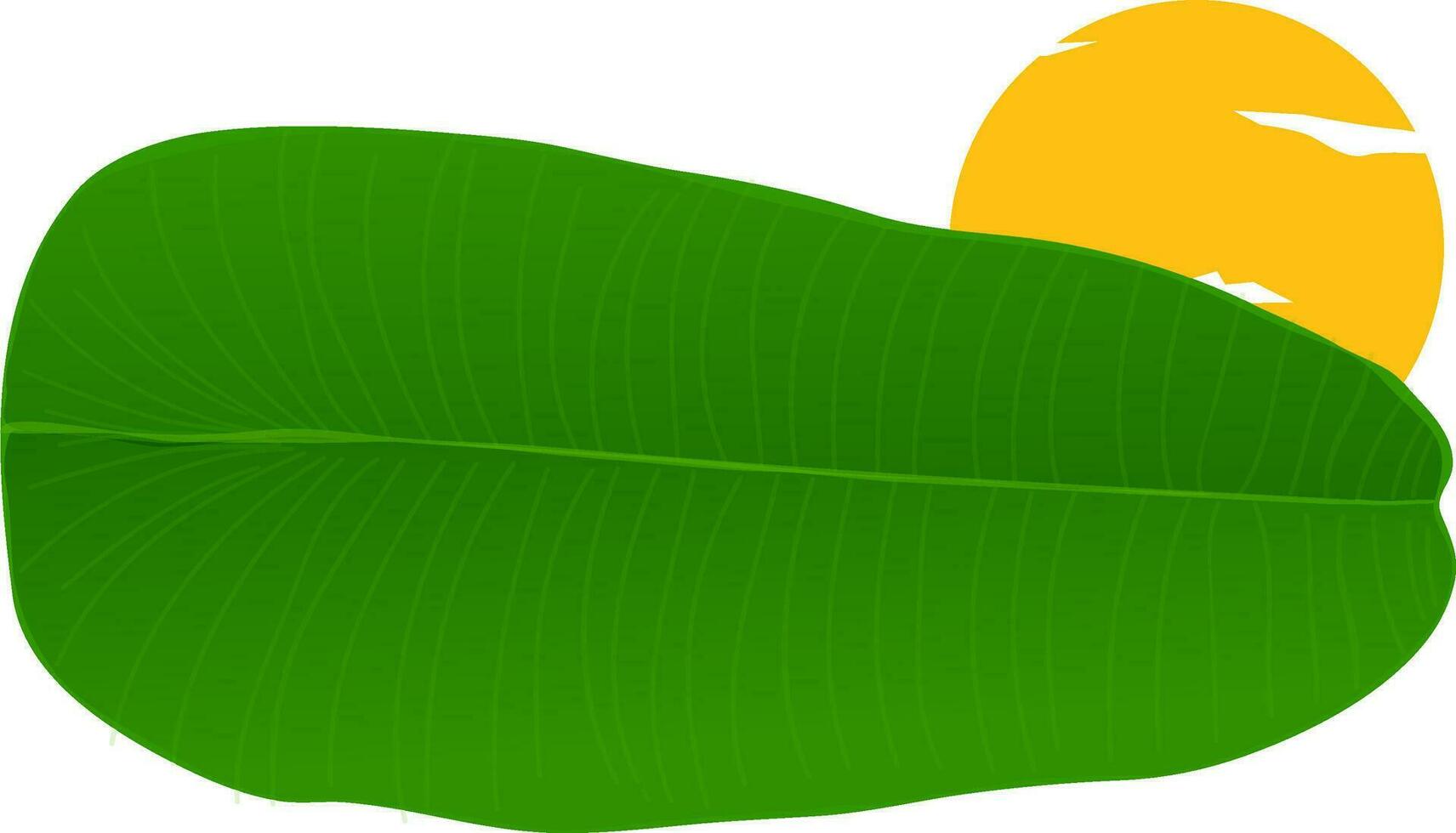 illustrazione di verde Banana foglia. vettore