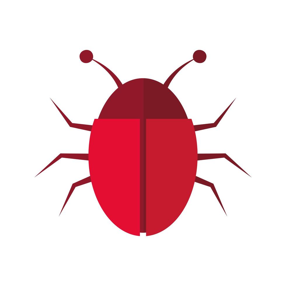 disegno vettoriale di bug isolato