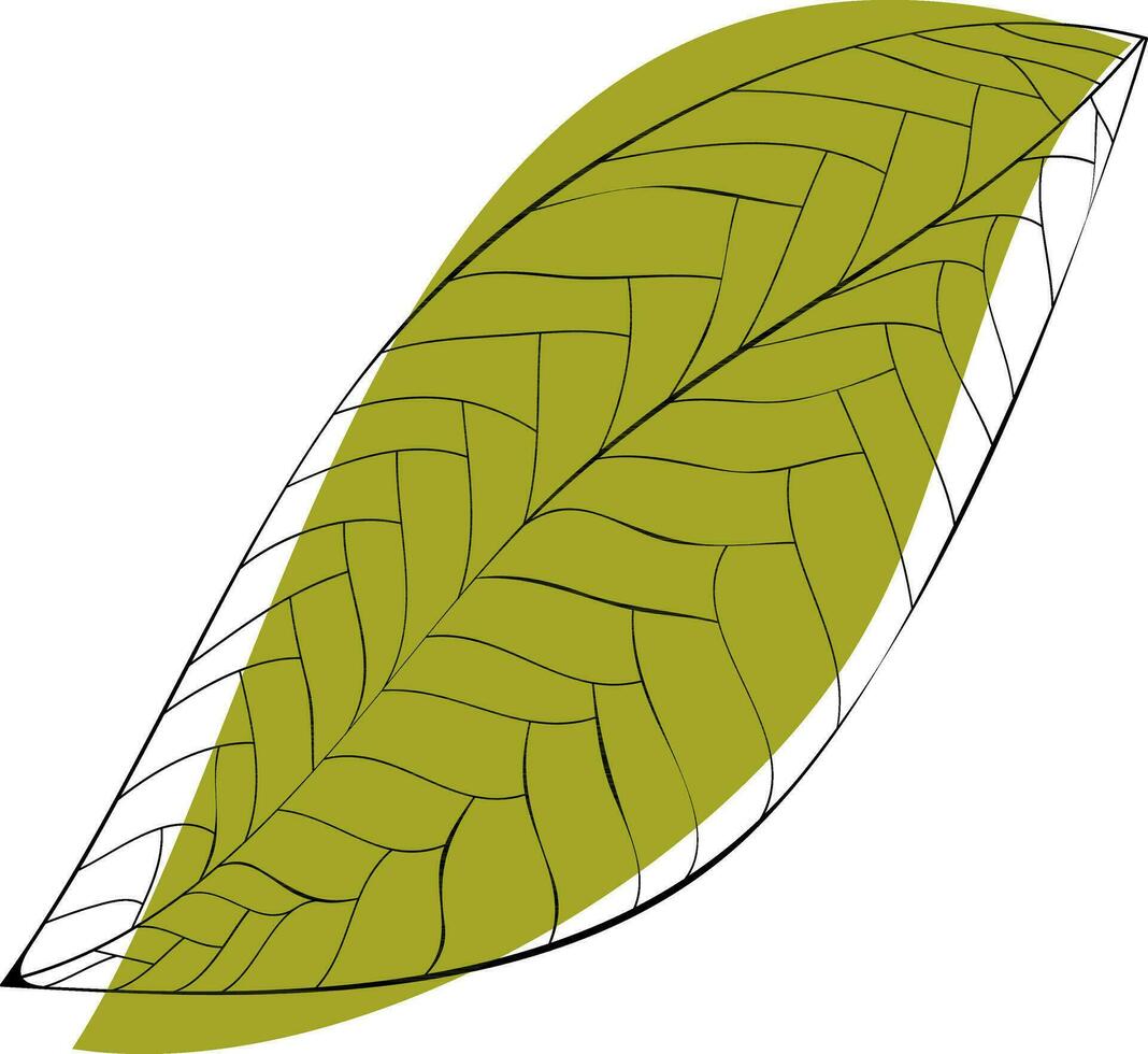 foglia verde su sfondo bianco. vettore