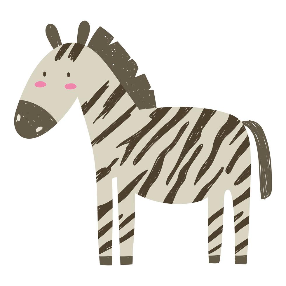 disegnato a mano del fumetto della fauna selvatica animale della giungla della zebra isolato vettore
