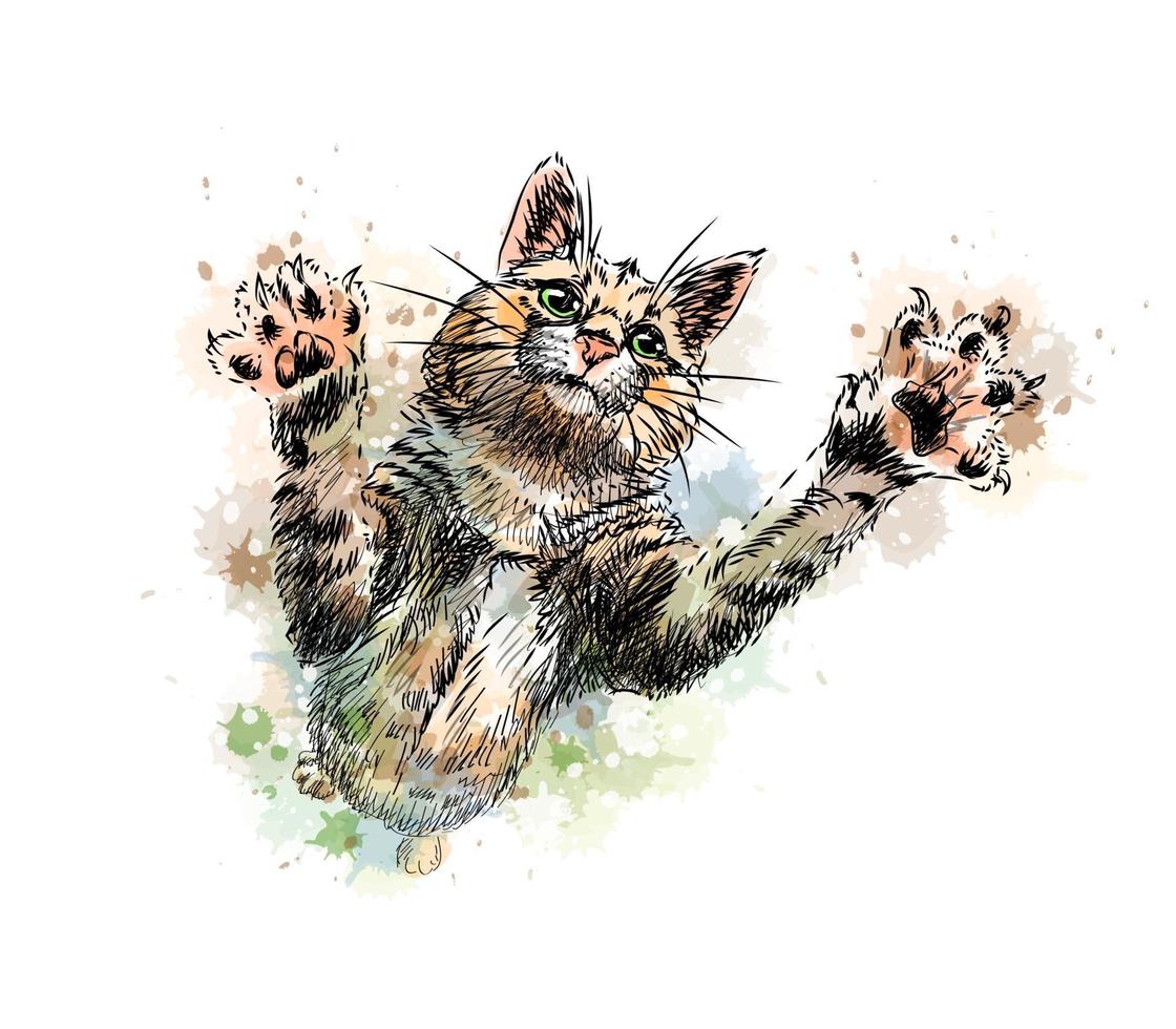 gatto che gioca da una spruzzata di acquerello schizzo disegnato a mano illustrazione vettoriale di vernici