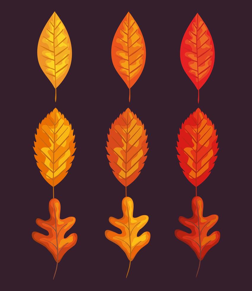 foglie di autunno impostare disegno vettoriale