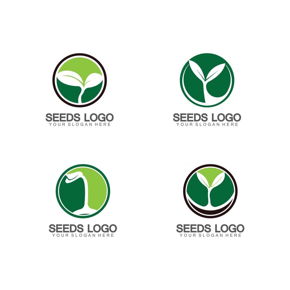 vettore del modello di concetto di logo di semi di piante