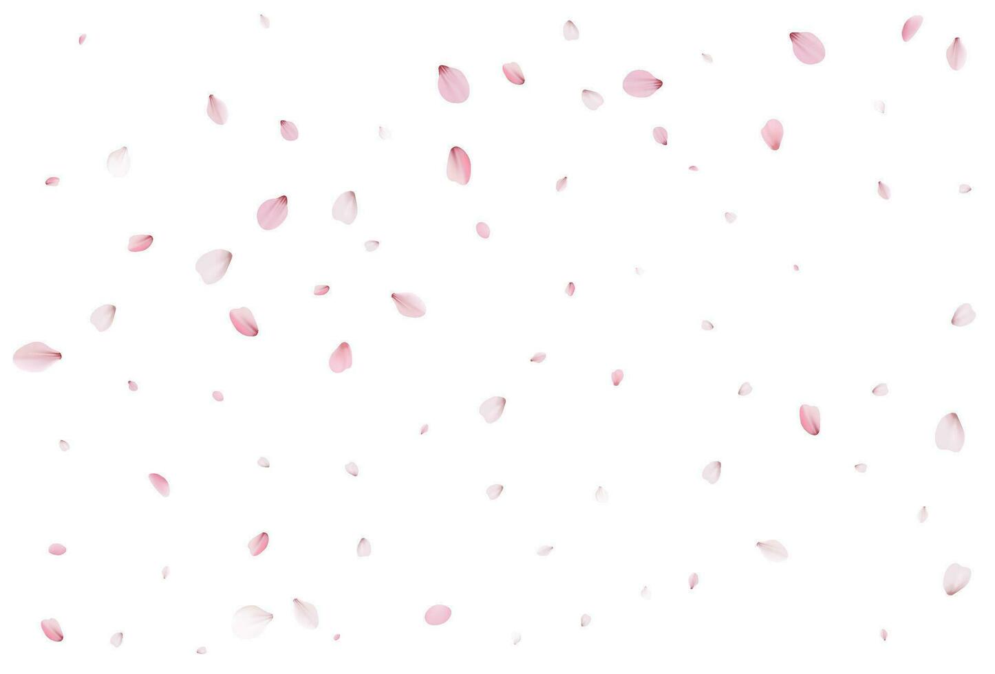 sakura volante petali, romantico sfondo. vettore